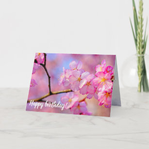 Beautiful Pink Sakura Flowers In Springtime Card