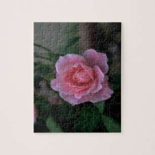 Beautiful Pink Single Rose Jigsaw Puzzle