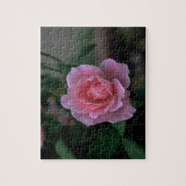 Beautiful Pink Single Rose Jigsaw Puzzle (Vertical)