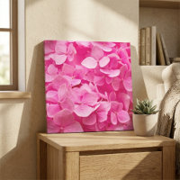 Beautiful Pink Spring Hydrangea Flower Photography