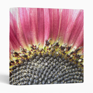 Beautiful Pink Sunflower Photograph Album Binder