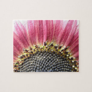 Beautiful Pink Sunflower Puzzle