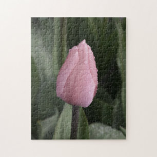 Beautiful pink tulip puzzle