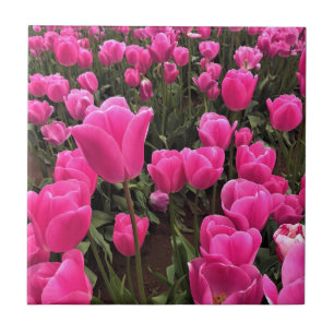 Beautiful Pink Tulips, Oregon Tile
