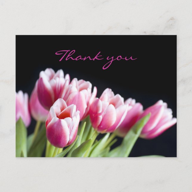 Beautiful Pink Tulips Postcard (Front)