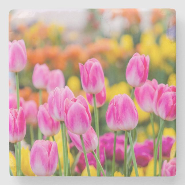 Beautiful Pink Tulips Stone Coaster (Front)