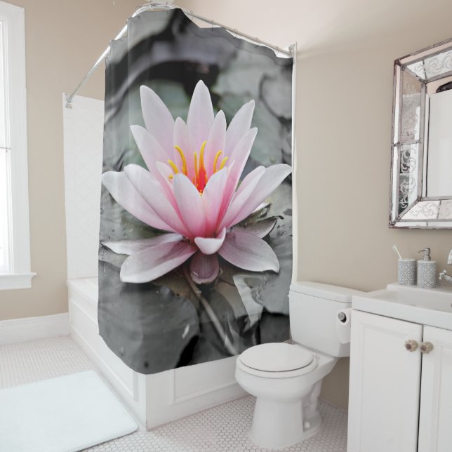 Beautiful pink water lily (In Situ)