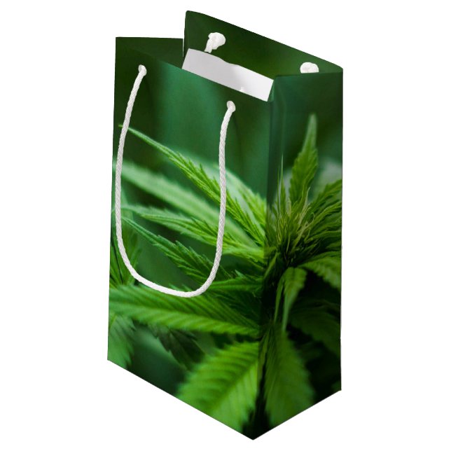 Beautiful Plant Small Gift Bag (Back Angled)