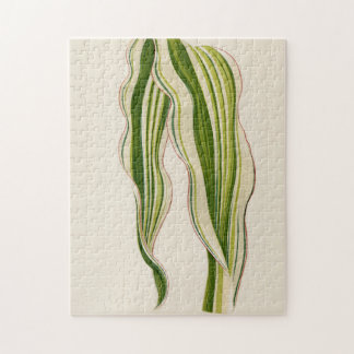 Beautiful Plants Gardener Special Gift Jigsaw Puzzle