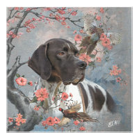 Beautiful pointer with pheasants