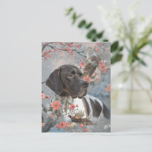 Beautiful pointer with pheasants    postcard