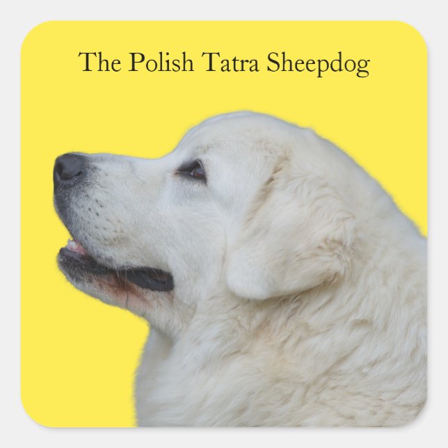 Beautiful Polish Tatra Sheepdog Breed Sticker (Front)