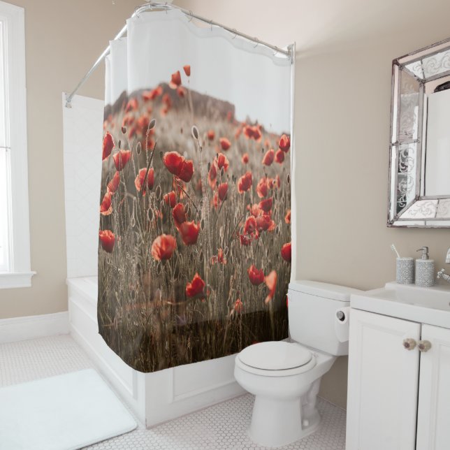 beautiful poppy flowers (In Situ)