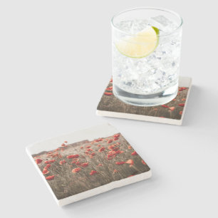 beautiful poppy flowers stone coaster