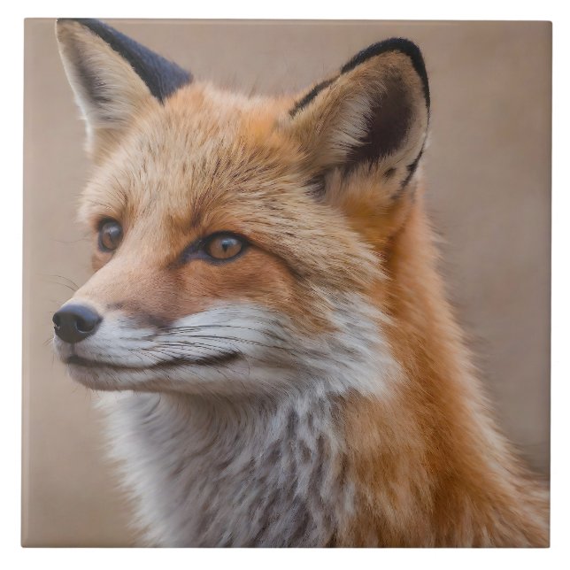 Beautiful Portrait of Red Fox in Wilderness 2a Tile (Front)