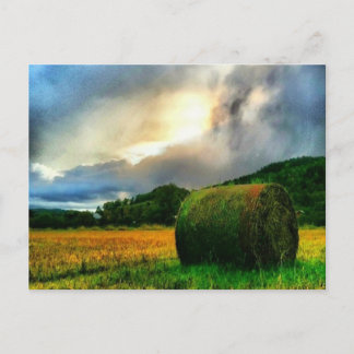 Beautiful postcard of a hayfield