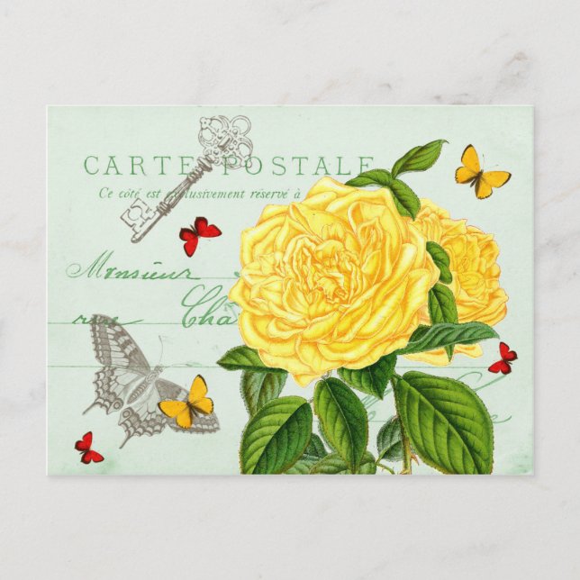 Beautiful postcard with rose and butterflies (Front)