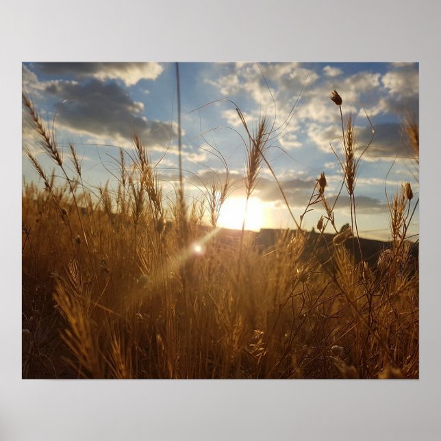 Beautiful Poster of a Sunset over a Wheat Filed (Front)