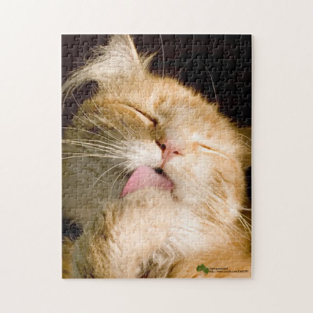 Beautiful Preening Maine Coon Close Up Photograph Jigsaw Puzzle (Vertical)