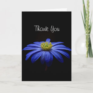 Beautiful Pretty Blue Flower on Black Thank You Card