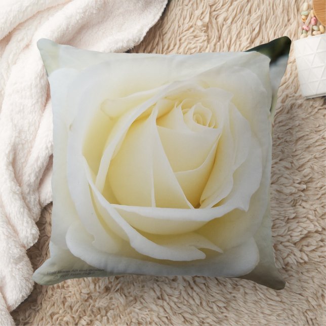 Beautiful pristine white rose photo polyester throw pillow (Blanket)