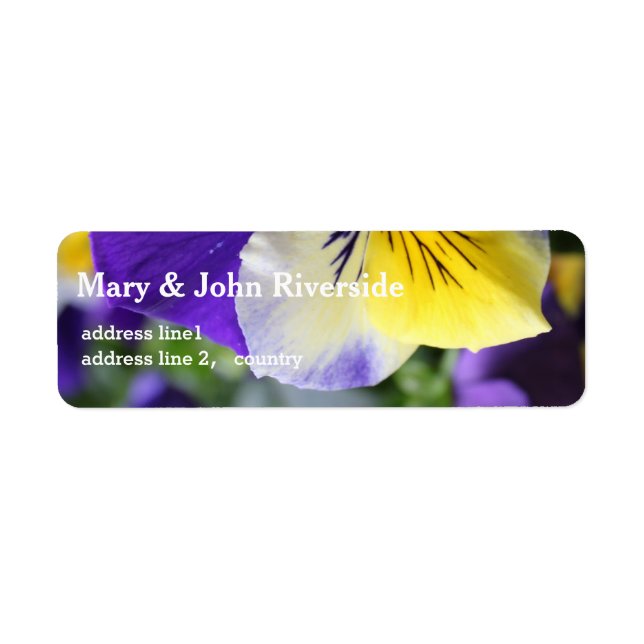 beautiful purple and yellow pansy flowers (Front)