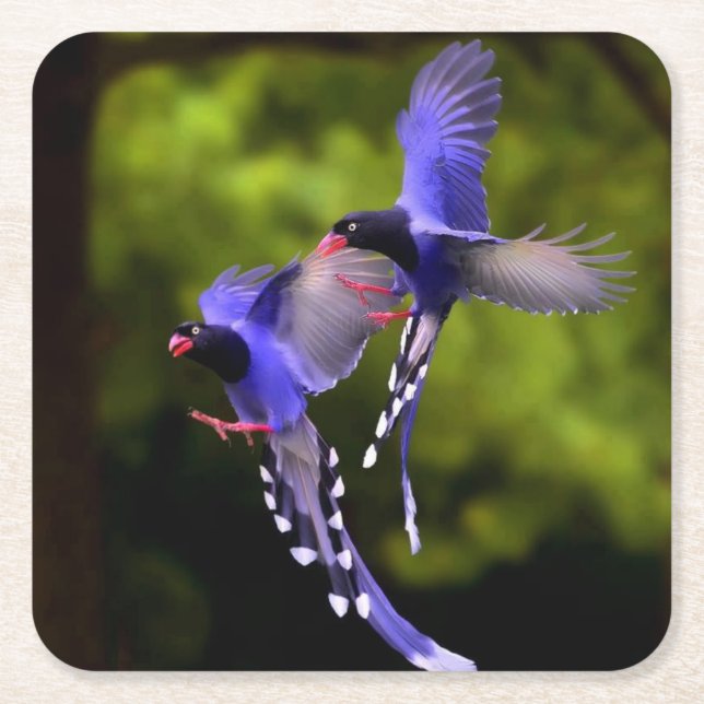 Beautiful Purple Birds in Flight Coaster Set (Front)