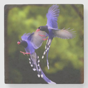 Beautiful Purple Birds in Flight Stone Coaster