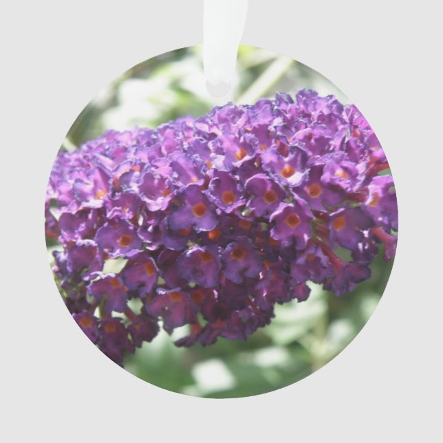Beautiful Purple Buddleia Flowers Acrylic Ornament (Front)