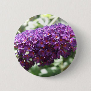 Beautiful Purple Buddleia Flowers Button
