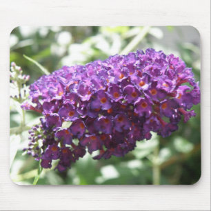 Beautiful Purple Buddleia Flowers Mousepad