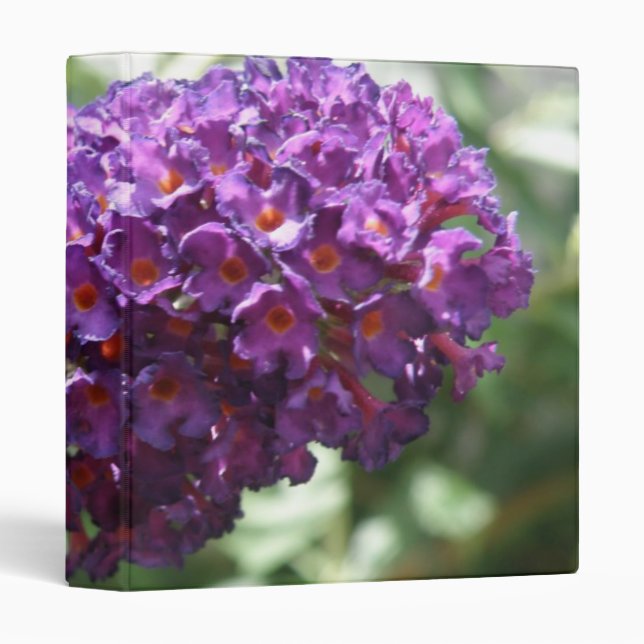 Beautiful Purple Buddleia Flowers Photograph Album Binder (Front/Spine)