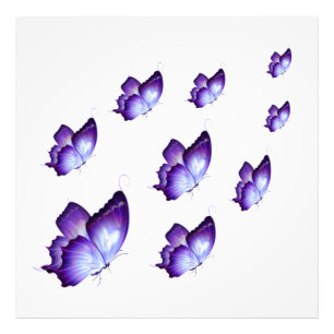Beautiful Purple Butterflies Triptych Canv Photo Print
