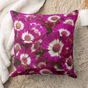 Beautiful Purple Cineraria Flowers Throw Pillow