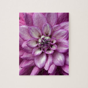 Beautiful purple dahlia flower jigsaw puzzle