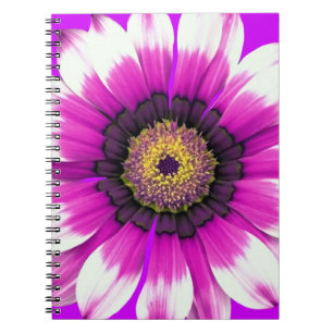 Beautiful purple flower notebook