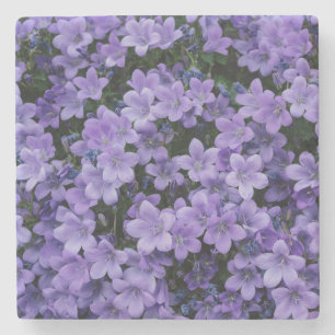Beautiful Purple Flowers Stone Coaster