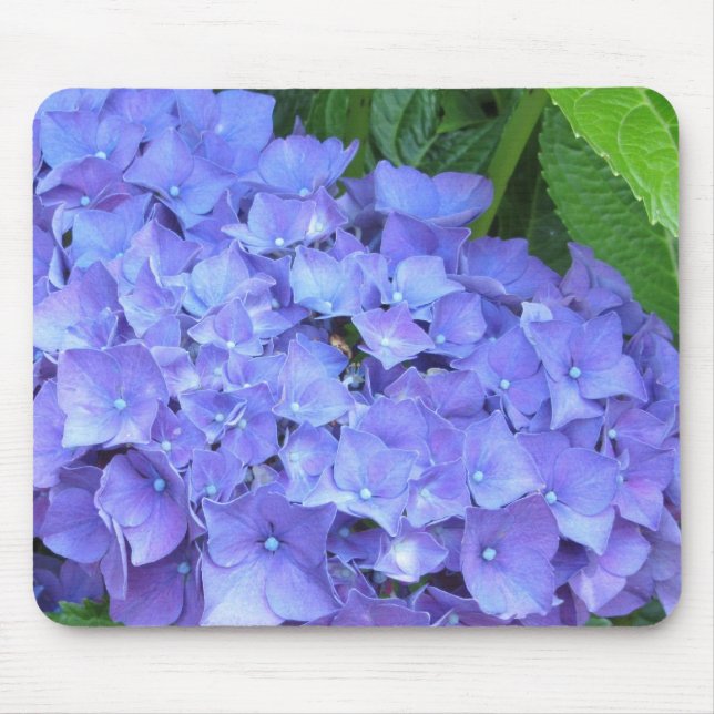 Beautiful Purple Hydrangeas Mouse Pad (Front)