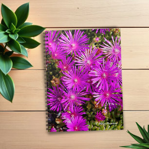 Beautiful Purple Iceplants Notebook