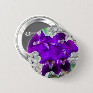Beautiful purple iris 2 inch round button