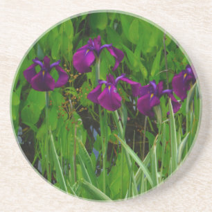 Beautiful Purple Iris Coaster