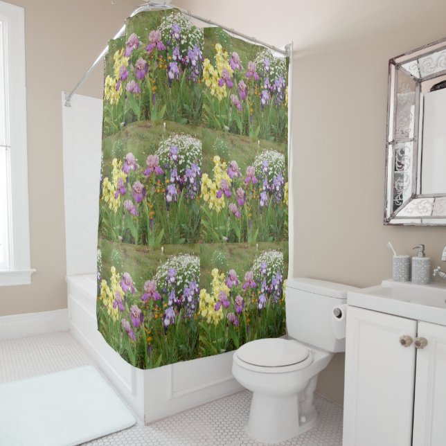 Beautiful Purple Iris Flower floral Photo (In Situ)