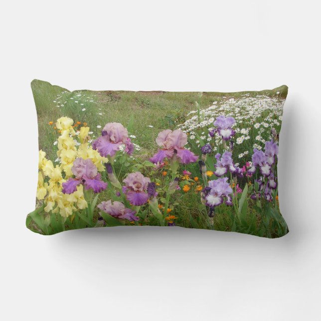 Beautiful Purple Iris Flower floral Photo Lumbar Pillow (Front)