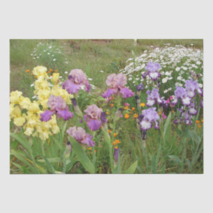 Beautiful Purple Iris Flower floral Photo Tissue Paper