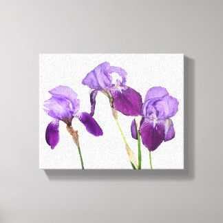 Beautiful purple iris flowers floral fine art canvas print