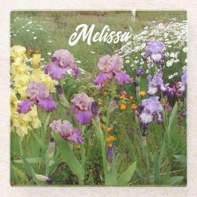 Beautiful Purple Iris Irises flower floral Garden Glass Coaster (Front)