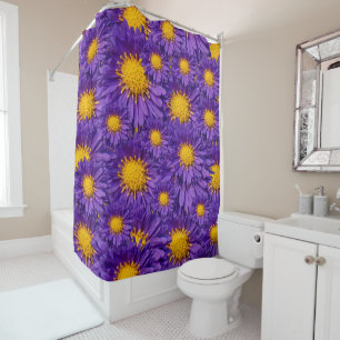Beautiful Purple Michaelmas Daisies