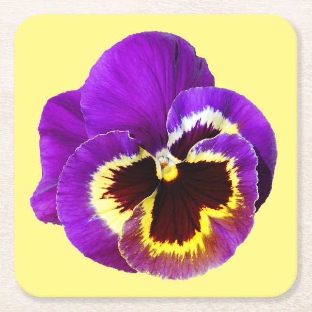 Beautiful purple pansy square paper coaster (Front)
