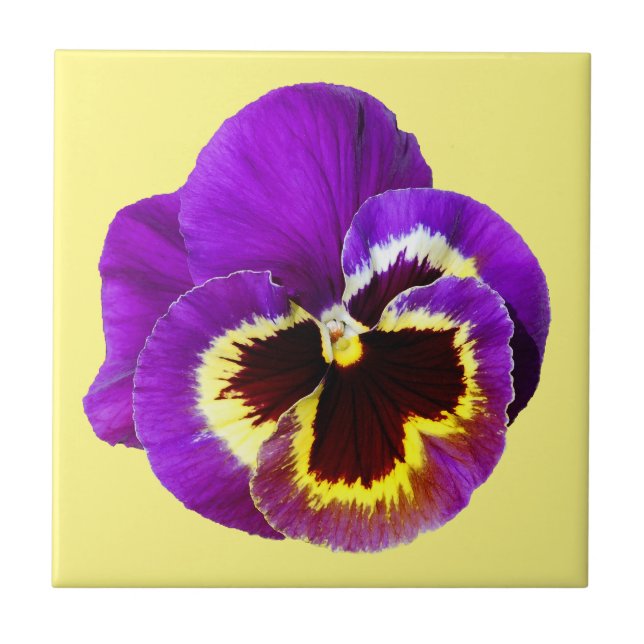 Beautiful purple pansy tile (Front)