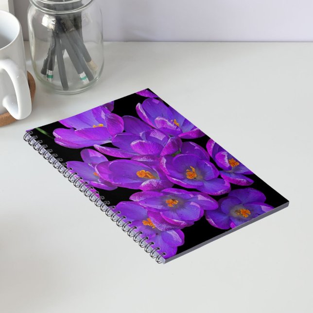 Beautiful Purple Spring Crocuses Floral Notebook (In Situ)